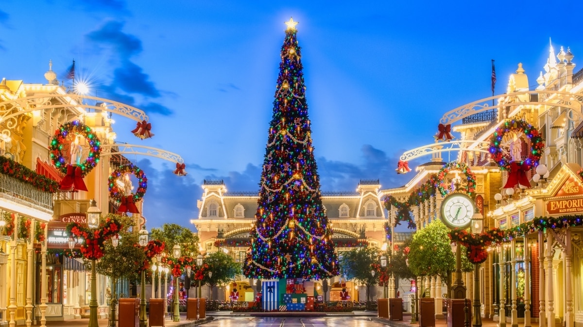 View of Walt Disney World - Orlando Holiday Vacation