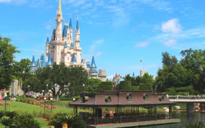 The Ultimate Guide to Your First Time to Disney World
