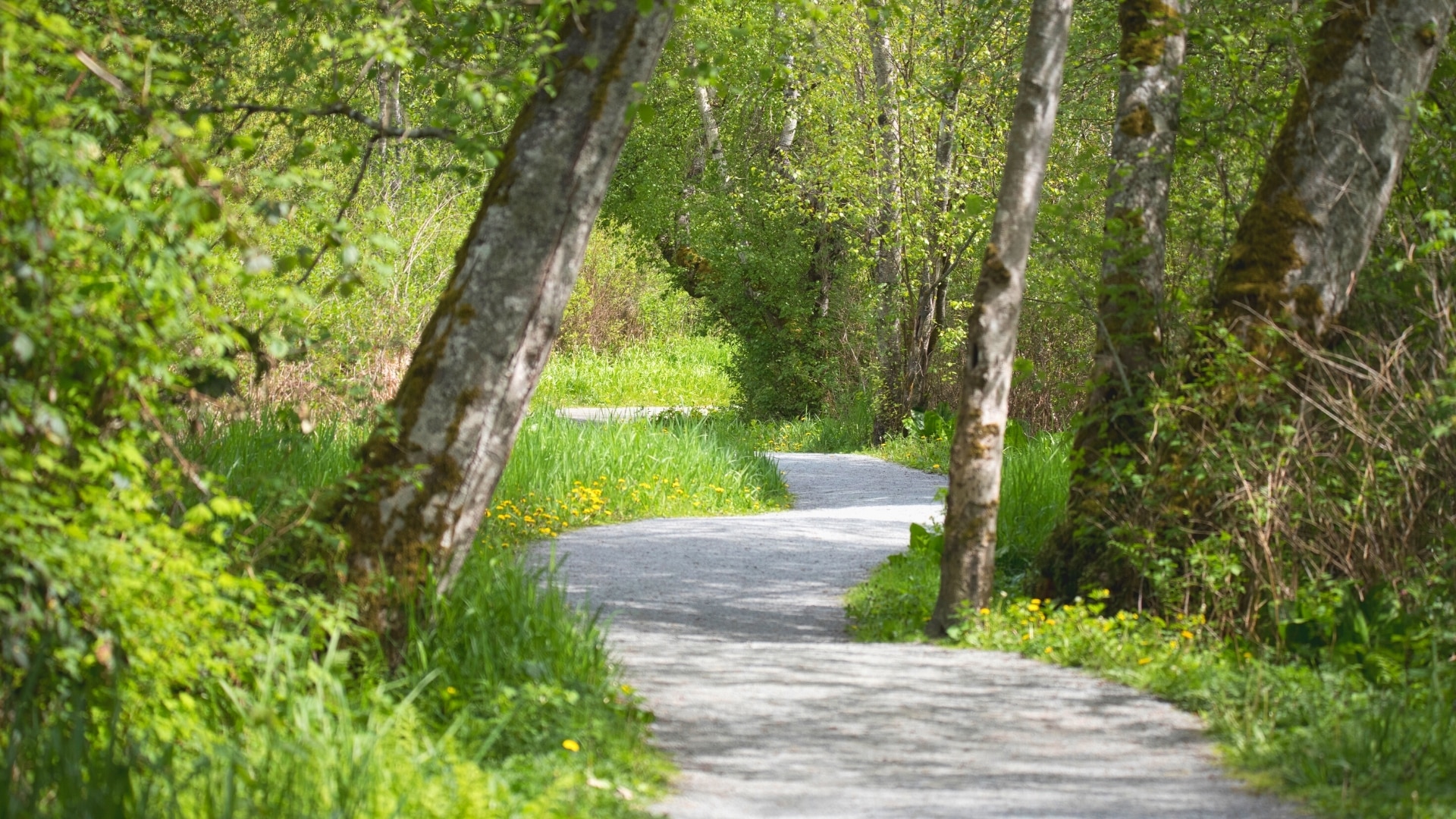 Popular Nature Trail for Biking in Orlando