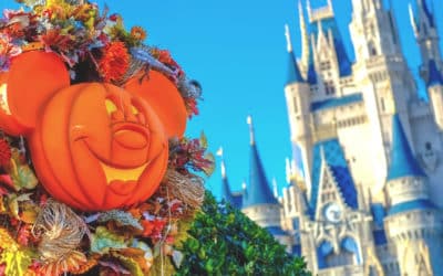 Fall In Orlando: Festivals, Food, and Fun Things to Do [2023]