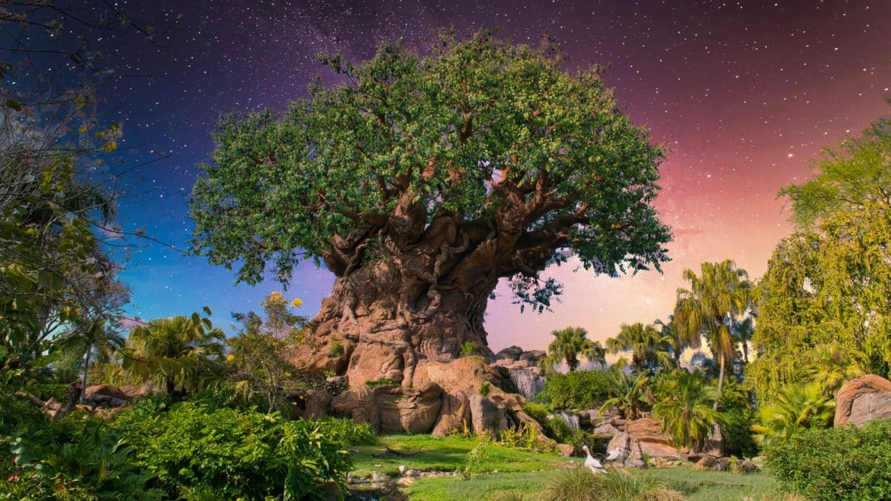 Absolute Best Rides at Animal Kingdom - The Disney World Guide