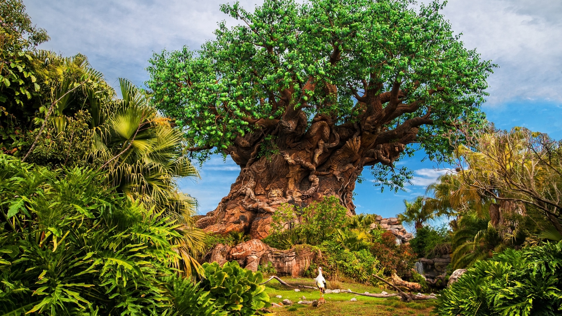Tree of Life at Disney World - Animal Kingdom Theme Park
