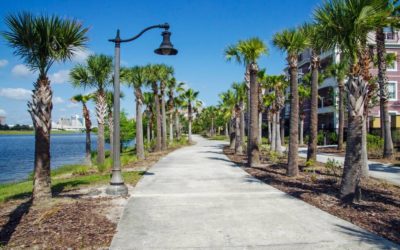 Vista Cay Resort in Orlando: Vacation Rentals & More