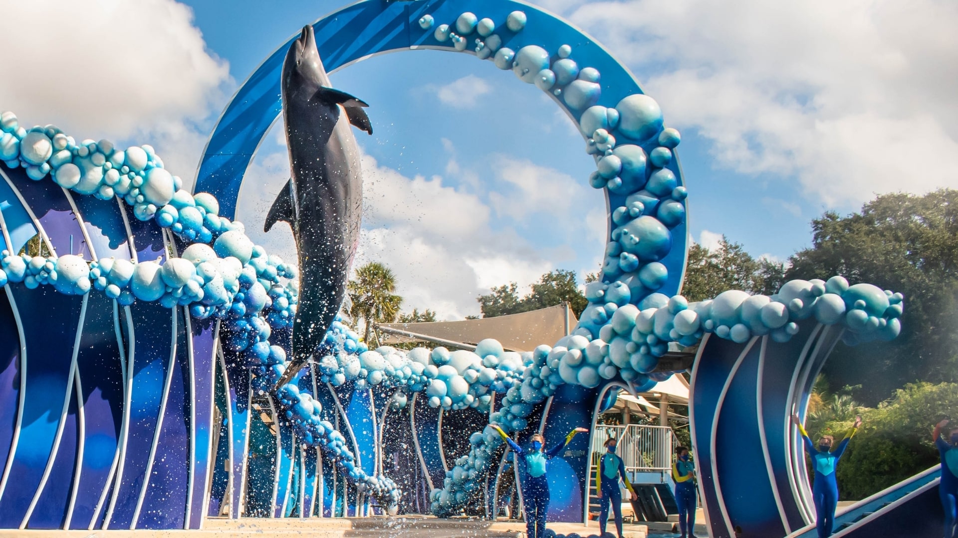 Live Shows with Marine Animals at Seaworld Orlando