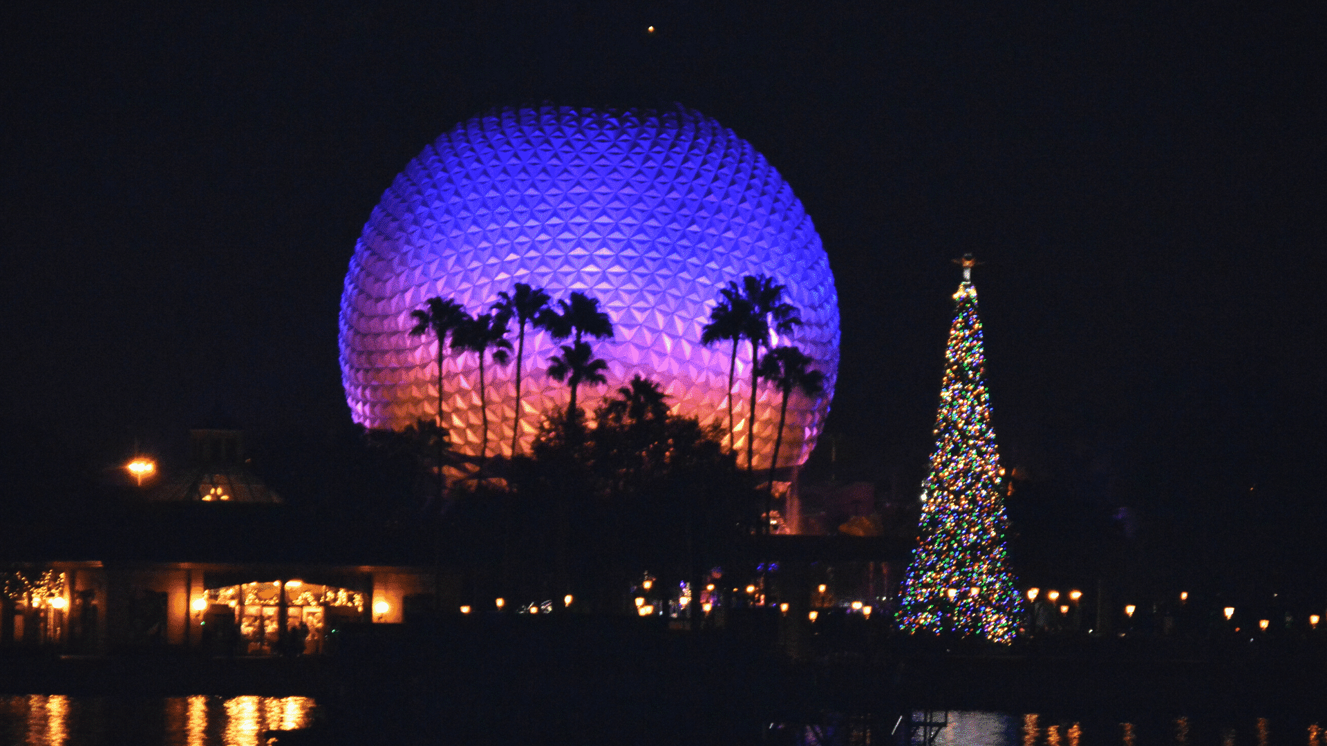 Epcot Christmas Tree at Disney World