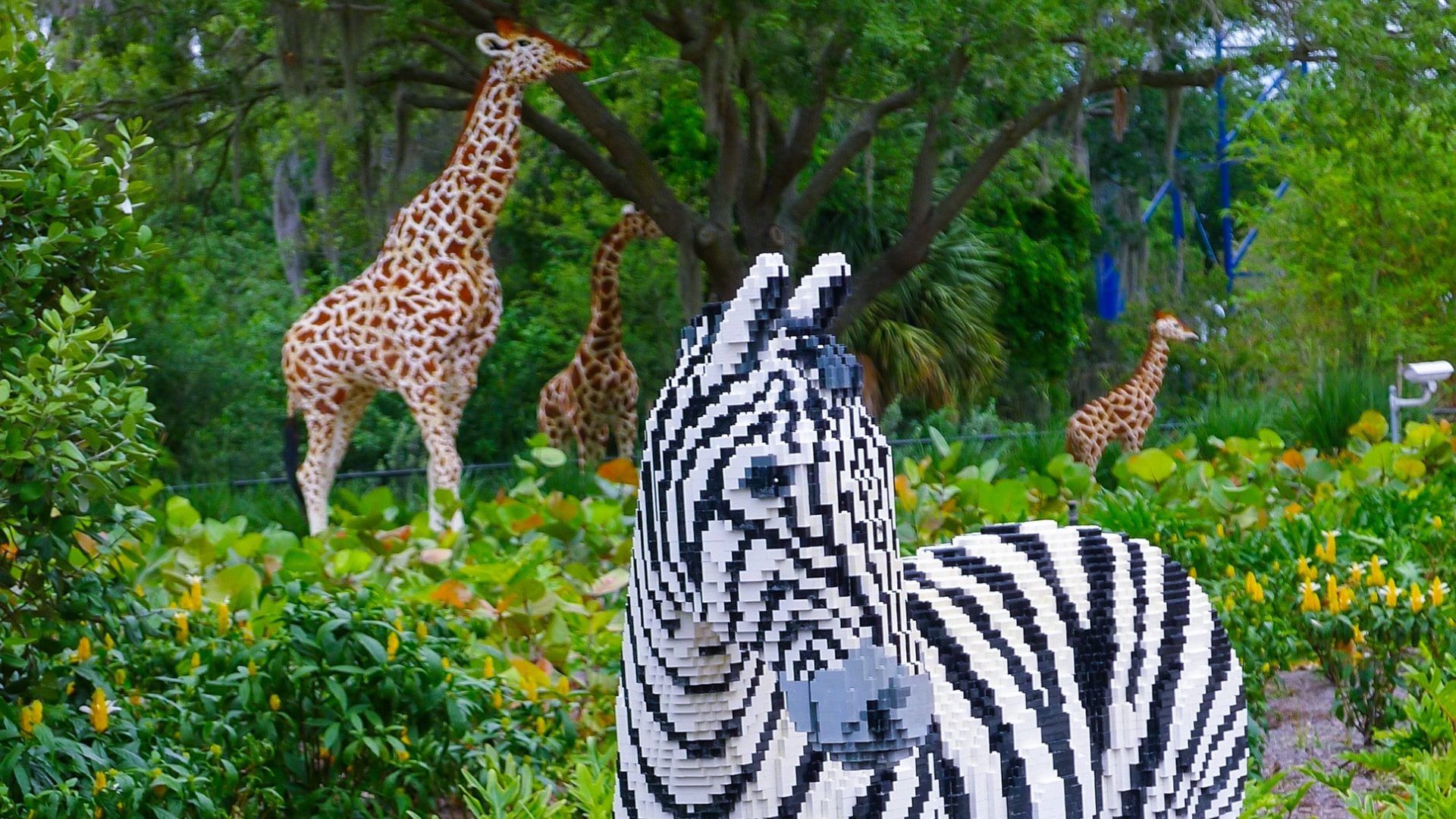 Legoland Florida - Safari at Land of Adventure