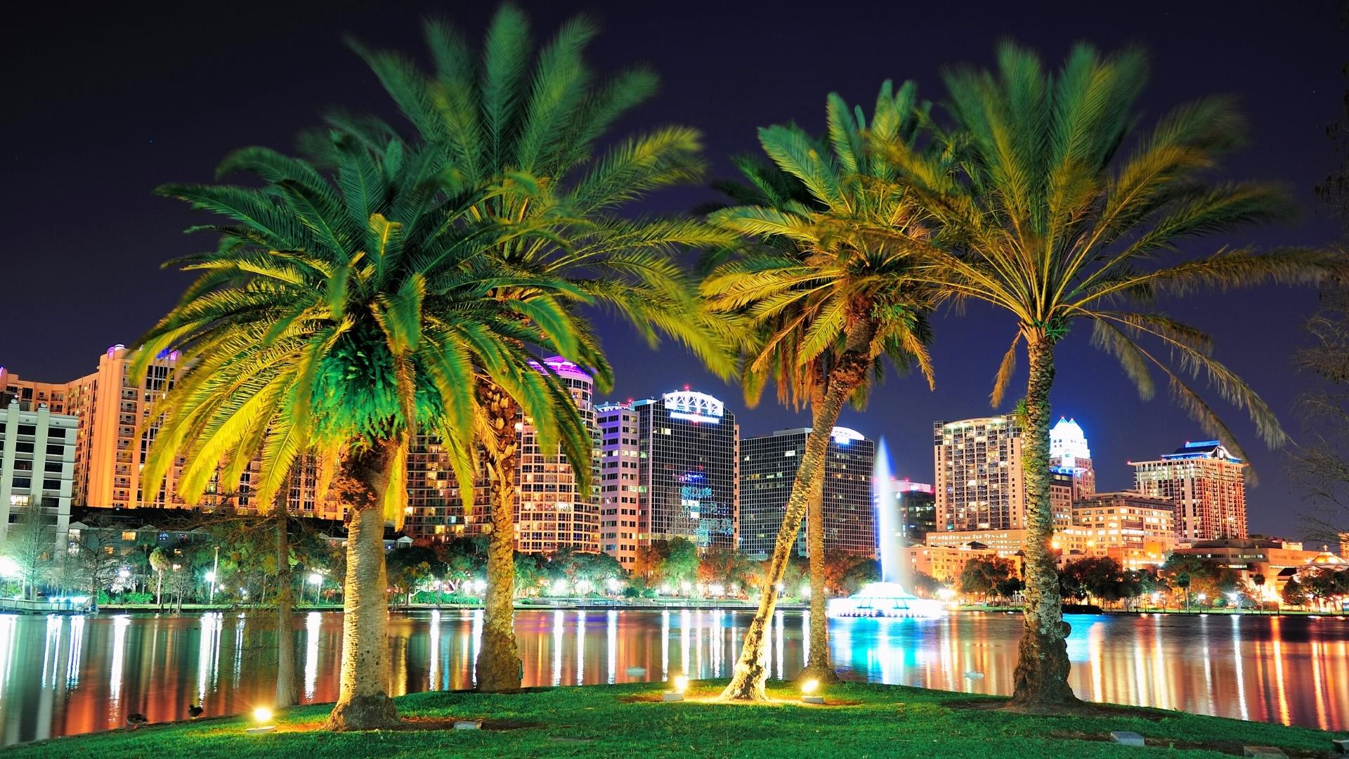 Fun Things To Do In Orlando At Night