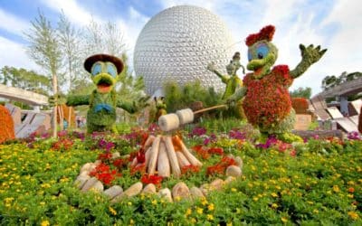 The Epic Guide to Epcot’s Flower and Garden Festival 2022
