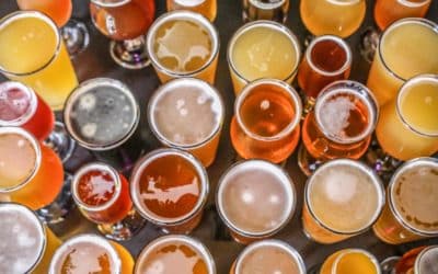 8 Best Breweries in Orlando For Craft Beer Lovers