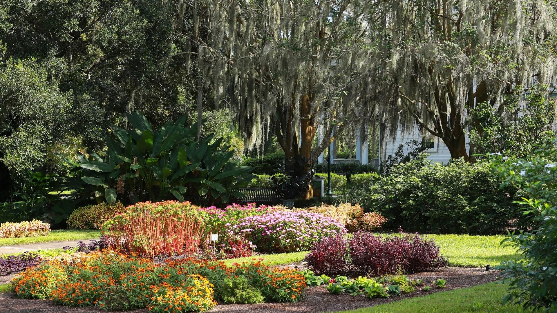 Beautiful Flowers at Leu Gardens in Orlando FL