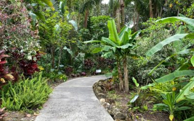 Leu Gardens: Explore the Botanical Oasis