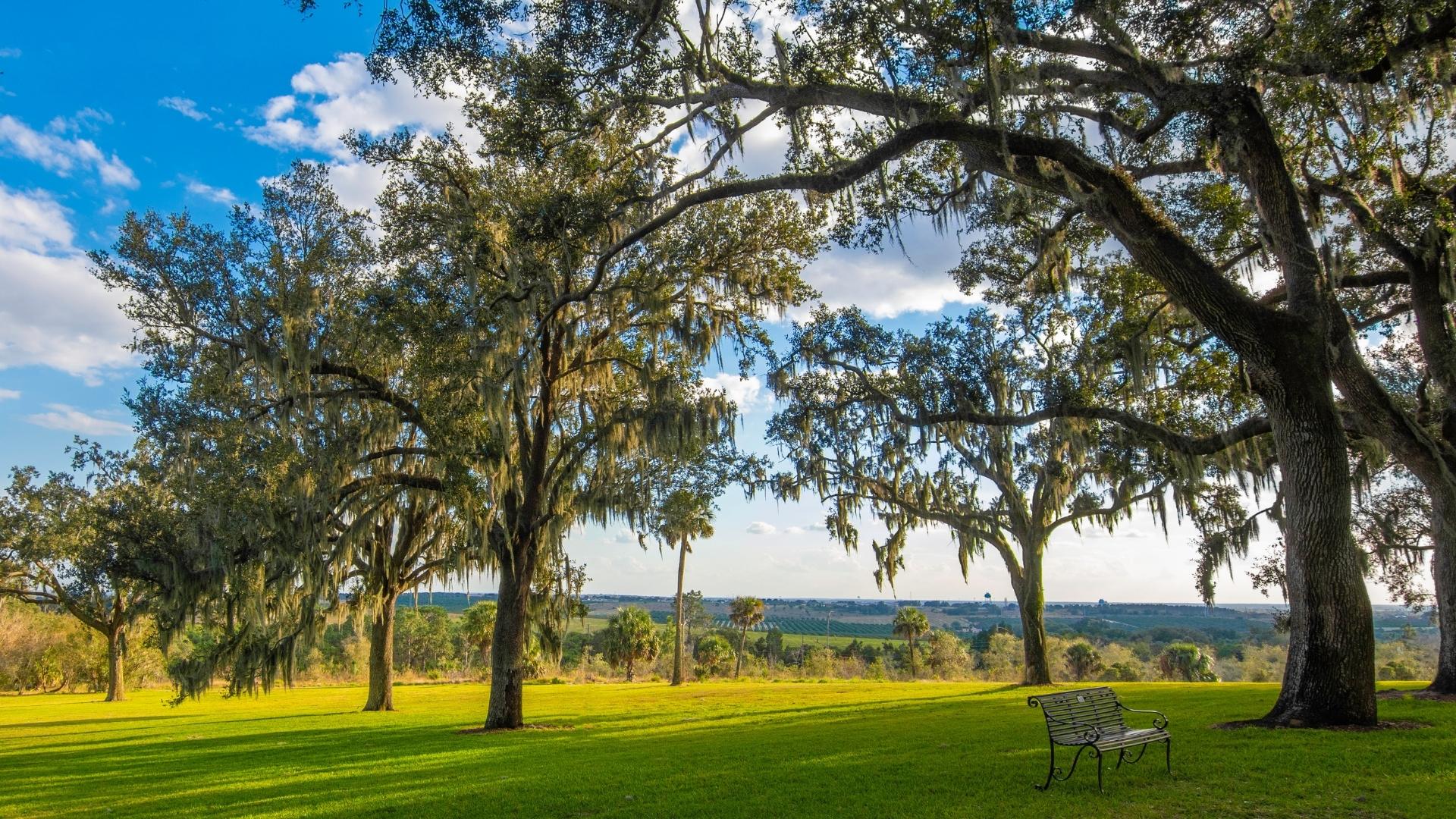 Bok Tower Gardens Shade Trees in Lake Wales Florida