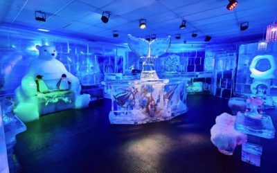 Ice Bar Orlando: The World-Famous Winter Wonderland