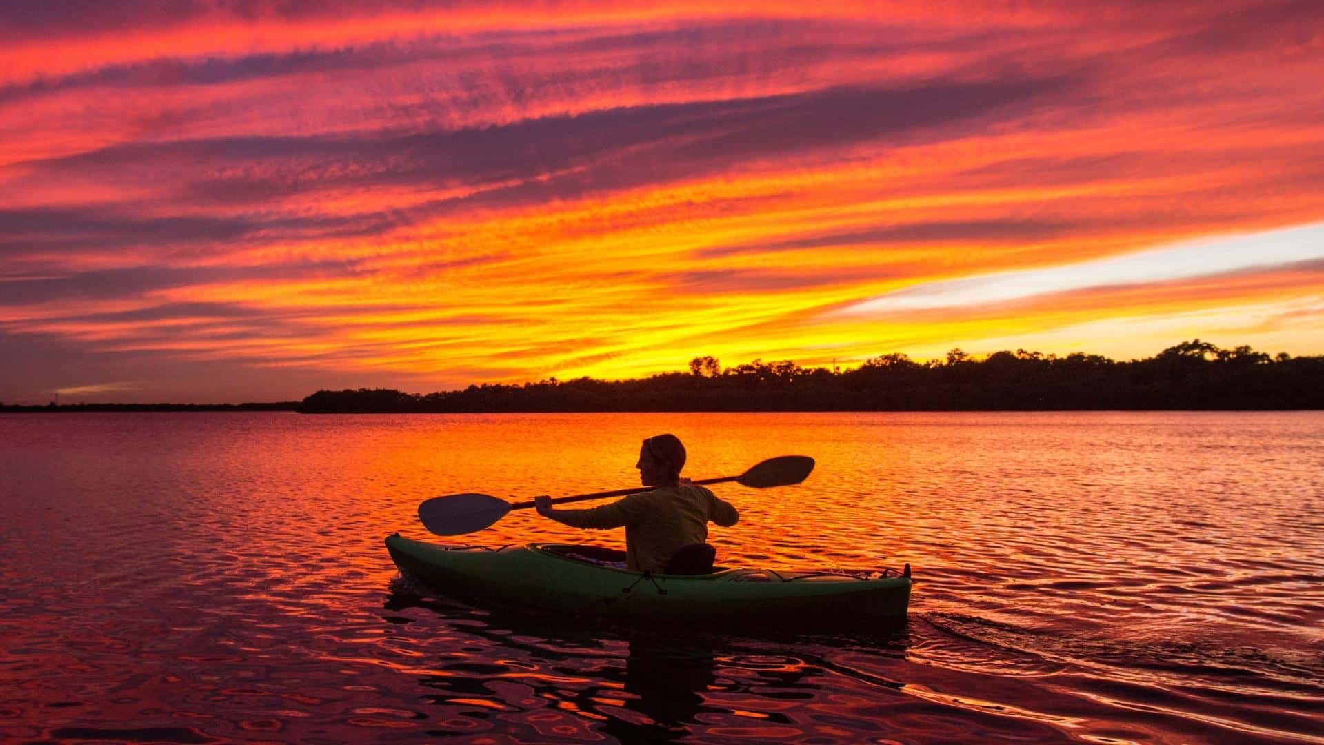 Sunset Kayaking near Orlando - Bioluminescence at Night