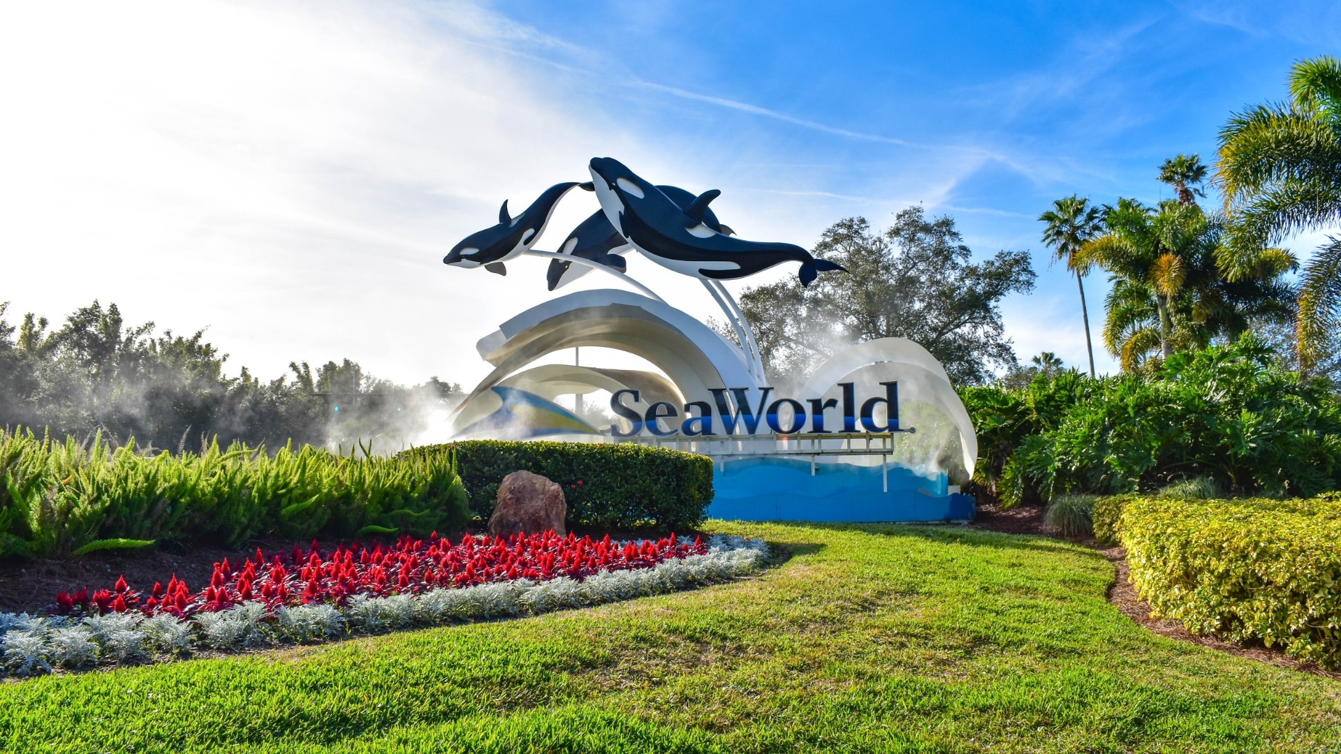 SeaWorld Orlando - Family Vacation with Kids