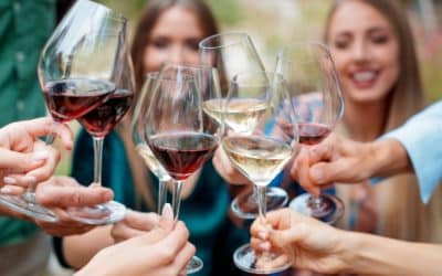 Absolute Best Wineries in Orlando for Wine Connoisseurs