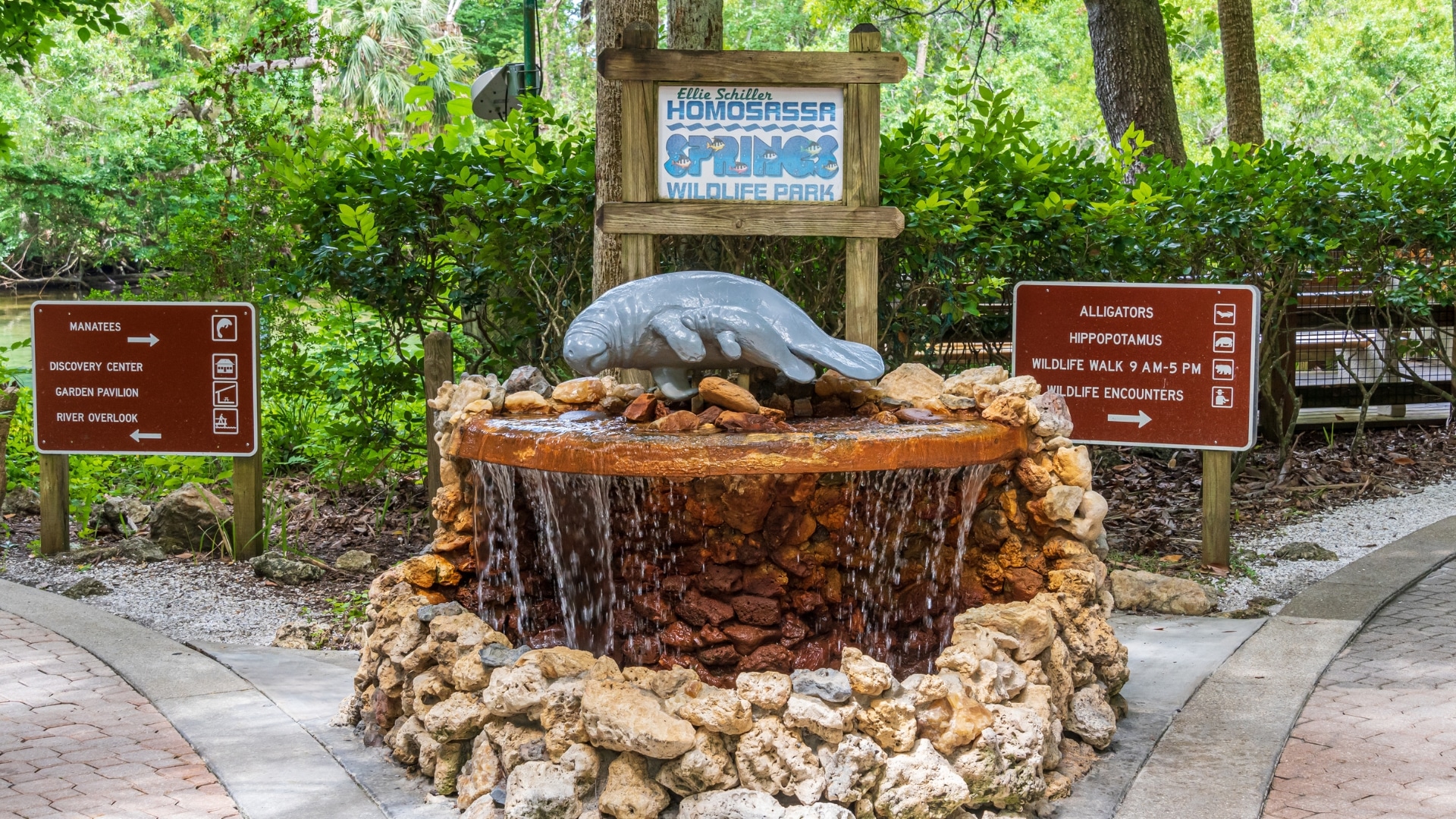Manatees at Ellie Schiller Homosassa Springs Wildlife Park in Florida