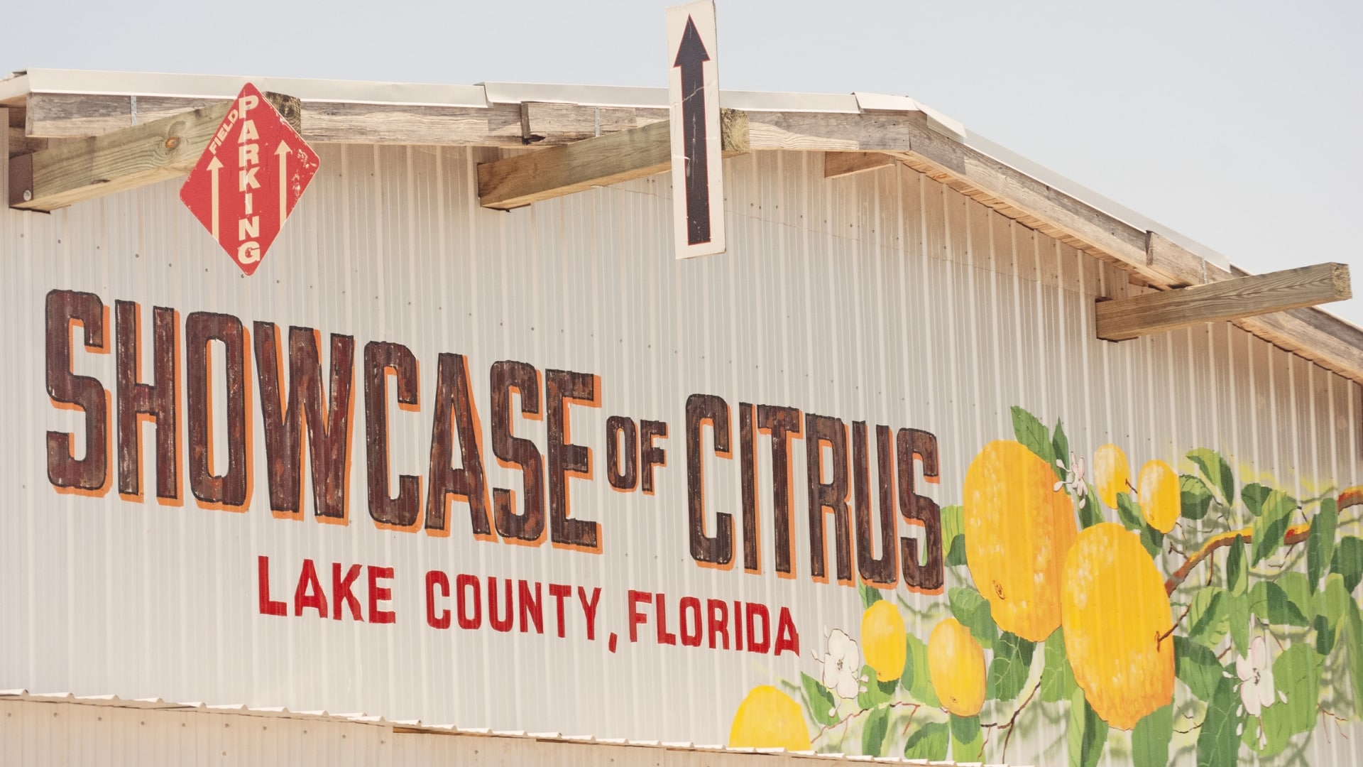 The Showcase of Citrus - Lake County Memorial Day
