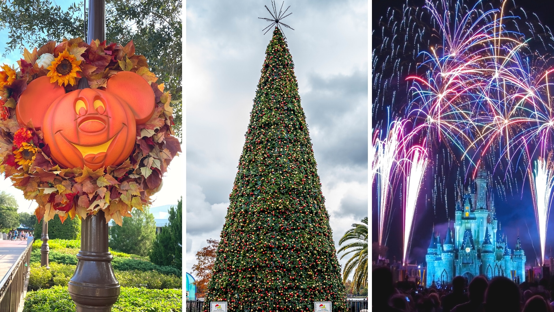 Popular Events in Orlando - Fall and Winter